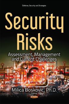 Hardcover Security Risks: Assessment, Management and Current Challenges Book