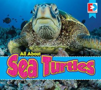 Library Binding All about Sea Turtles Book