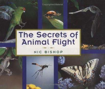 Hardcover The Secrets of Animal Flight Book