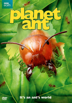 DVD Planet Ant Book