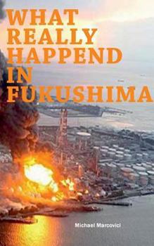 Paperback What really happened in Fukushima: Did we learn from the disaster? Book