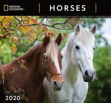 Calendar Cal 2020-National Geographic Horses Wall Book