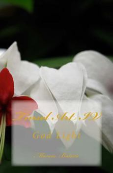 Paperback Tinsel Art IV: God Light Book