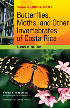 Paperback Butterflies, Moths, and Other Invertebrates of Costa Rica: A Field Guide Book