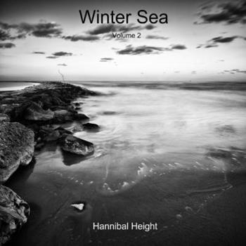 Paperback Winter Sea - Volume 2 Book