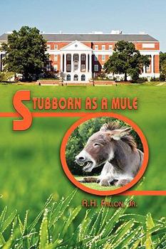 Stubborn as a Mule