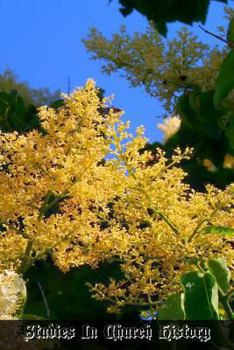 Paperback Studies In Church History: Volume 6 Centuries 19 Part 2 Book