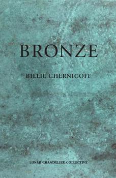 Paperback Bronze Book