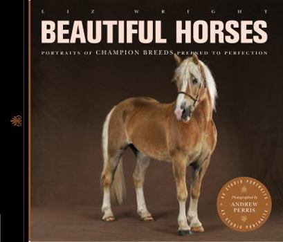 Paperback Beautiful Horses Book