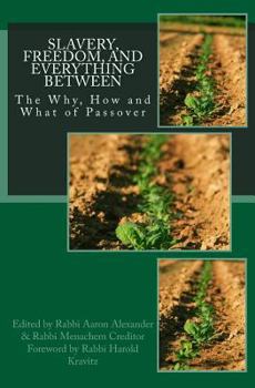 Paperback Slavery, Freedom, and Everything Between: The Why, How and What of Passover Book