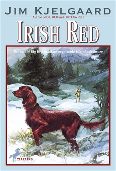 Library Binding Irish Red Book
