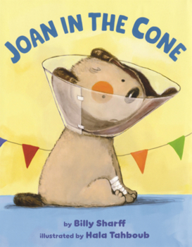 Library Binding Joan in the Cone Book