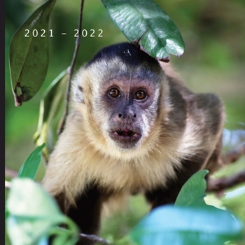 2021 - 2022: 18 Month Calendar | Monthly Photo Calendar | July 2021 - December 2022 | Monthly Calendar with U.S./UK/ Canadian/Christian/Jewish/Muslim Holidays | Cute Monkey