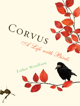 Paperback Corvus: A Life with Birds Book