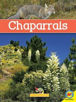 Library Binding Chaparrals with Code Book