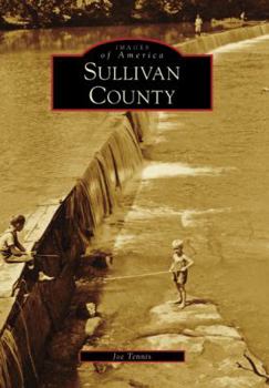 Paperback Sullivan County Book
