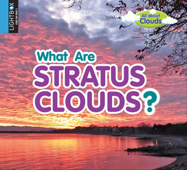 Library Binding What Are Stratus Clouds? Book