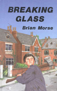 Hardcover Breaking Glass Book