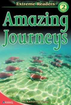 Paperback Amazing Journeys Book