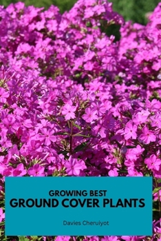 GROWING BEST GROUND COVER PLANTS