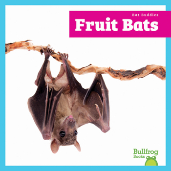 Paperback Fruit Bats Book