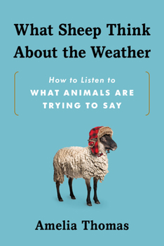 Paperback What Sheep Think about the Weather: How to Listen to What Animals Are Trying to Say Book