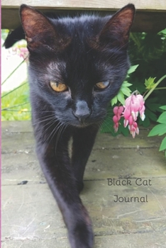 Paperback Black Cat Journal Book