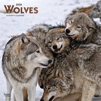 Calendar Wolves 2020 Square Foil Book