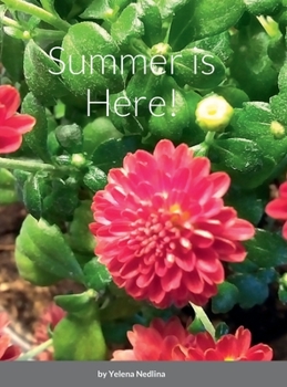 Hardcover Summer is Here! Book