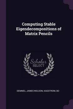 Paperback Computing Stable Eigendecompositions of Matrix Pencils Book