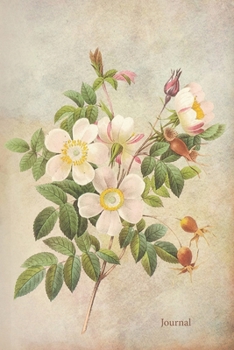 Journal: Vintage style 6 x 9 Journal notebook with lined pages - Vintage Floral illustration with Dog Roses