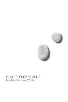 Paperback Graffiti Calculus Book
