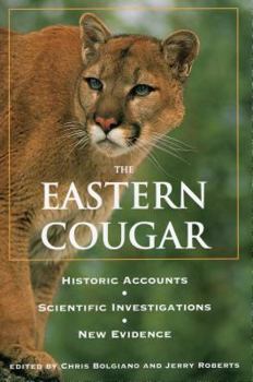 Paperback Eastern Cougar: Historic Accounts, Scientific Investigations, New Evidence Book