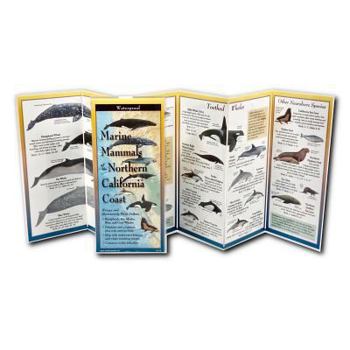 Marine Mammals of Northern & Central California (Poster)