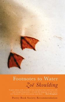Paperback Footnotes to Water Book