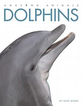Library Binding Dolphins Book