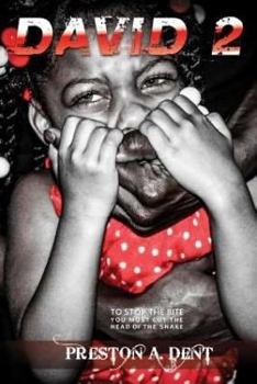 Paperback David 2: False Realities Expressed Everyday Book