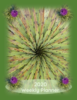 Paperback 2020 Weekly Planner: Paperback Journal Style Calendar with Green Cover, Cactus and Purple Flowers Book