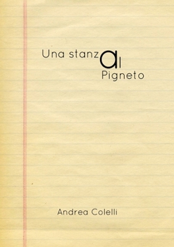 Paperback Una stanza al Pigneto [Italian] Book