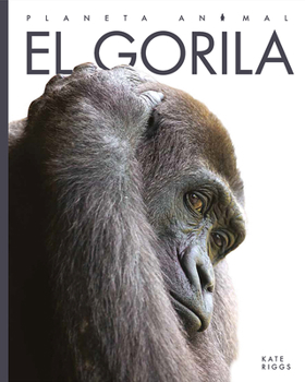 Paperback El Gorila [Spanish] Book