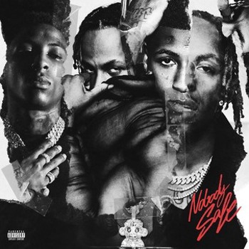 Vinyl Nobody Safe Book