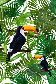 Paperback Tropical Toucans: Graph Paper Notebook, 6x9 Inch, 120 pages Book
