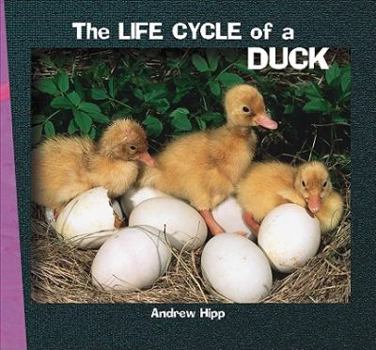 Paperback The Life Cycle of a Duck Book