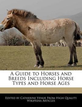 A Guide to Horses and Breeds Including Horse Types and Horse Ages