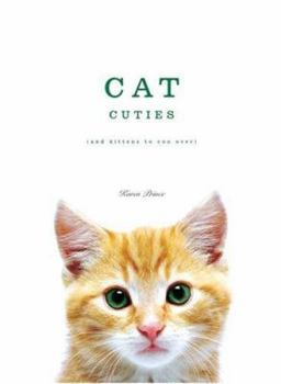 Hardcover Cat Cuties Book
