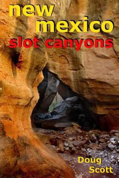 Paperback New Mexico Slot Canyons Book
