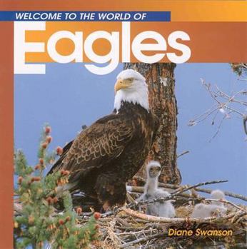 Paperback Welcome to the World of Eagles Book