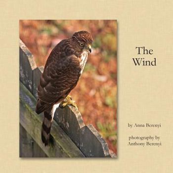 Paperback The Wind Book