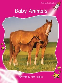 Baby Animals - Book  of the Red Rocket Readers