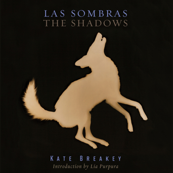 Las Sombras/The Shadows - Book  of the Southwestern and Mexican Photography Series, The Wittliff Collections